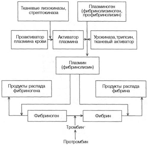 Схема фибринолиза