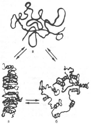 Третичная структура РНК в растворе в зависимости от ионной силы, температуры и рН среды (схема) (по А.С. Спирину и Л.П. Гавриловой)