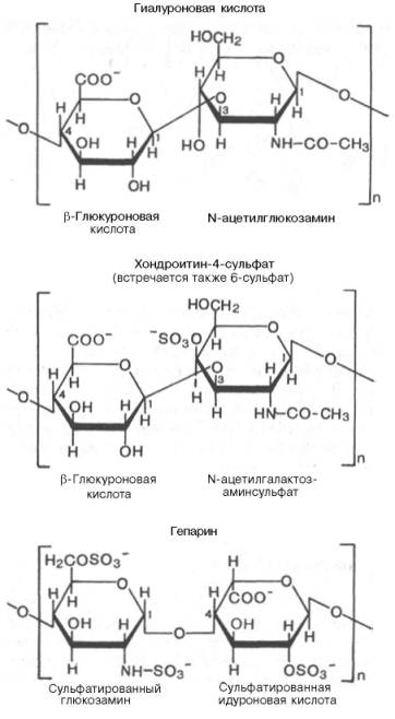 Строение некоторых сложных полисахаридов (гликозамино-гликанов): гиалуроновая кислота, хондроитин-4-сульфат, гепарин