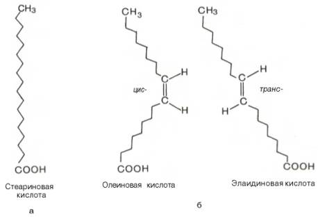 Стеариновая кислота, олеиновая кислота, элаидиновая кислота
