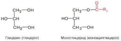 Глицерин (глицерол) и моноглицерид (моноацилглицерол)