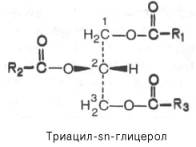 Триацил-sn-глицерол
