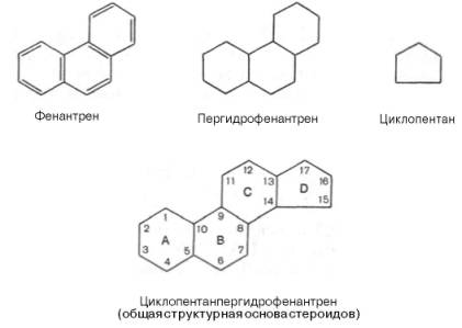 Структурные формулы: фенантрен, пергидрофенантрен, циклопентан, циклопентанпергидрофенантрен