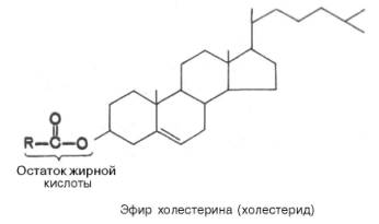 Структурная формула эфира холестерина (холестерида)