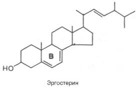 Структурная формула эргостерина