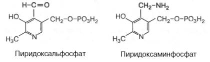Пиридоксальфосфат, пиридоксаминфосфат