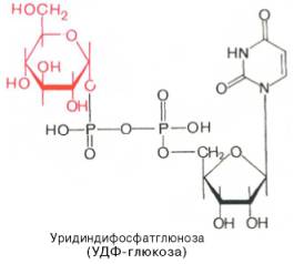Структурная формулу уридиндифосфатглюкоза (УДФ-глюкоза)