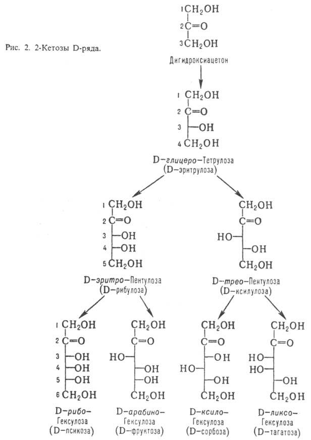 2-кеторзы D-ряда