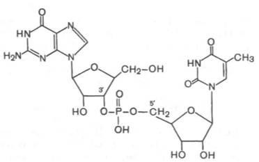 Структурная формула гуанозилтимидинфосфата