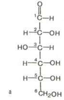 Линейная формула глюкозы (альдогексозы)