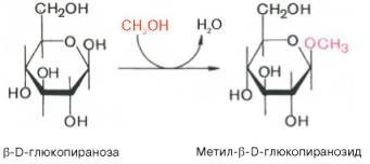 Реакция метилового спирта с глюкозой с образованием метил-beta-D-глюкопиранозида