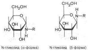 N-гликозид (alpha-форма) и N-глюкозид (beta-форма)