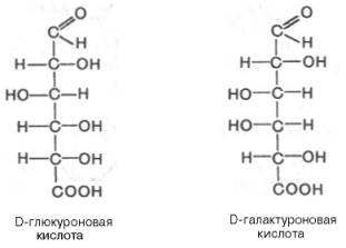 D-глюкуроновая кислота и D-галактуроновая кислота