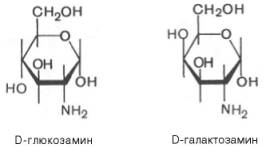 D-глюкозамин и D-галактозамин