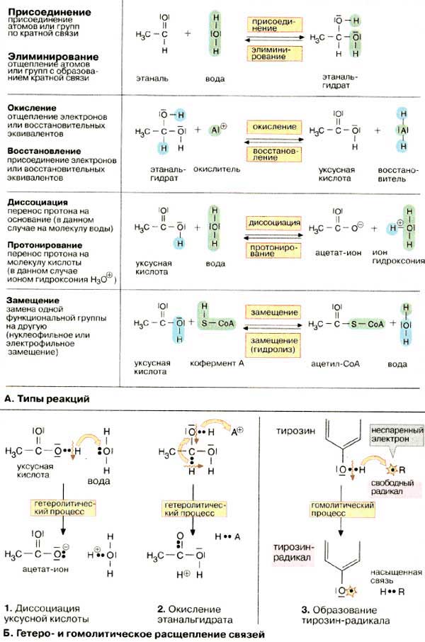 Типы реакций (присоединение, элиминирование, окисление, восстановление, диссоциация, протонирование, замещение); Гетеролитическое и гомолитическое расщепление связей
