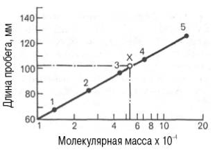 ависимость между длиной пробега белковых частиц при гель-хроматографии в тонком слое сефадекса Г-150 (сверхтонкого) и их молекулярными массами (в полулогарифмической системе координат)