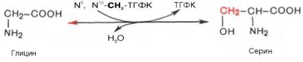 Взаиморевращение глицина в серин