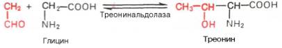 Взаимопревращение треонина и глицина