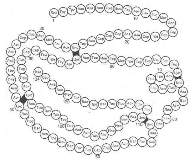 Первичная структура РНКазы. Цветом выделены четыре дисульфидные связи