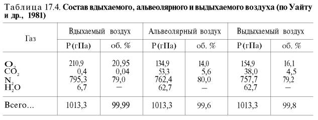 Состав вдыхаемого, альвеолярного и выдыхаемого воздуха