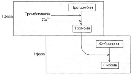 Теория Шмидта–Моравица в виде схемы
