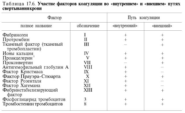 Участие факторов коагуляции во внутреннем и внешнем путях свертывания крови