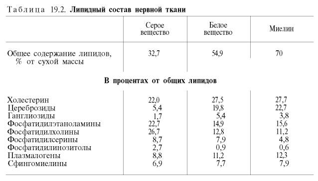 Липидный состав нервной ткани