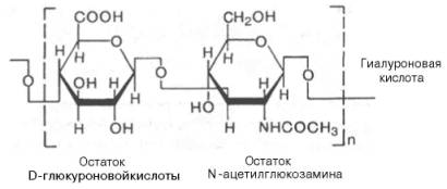 Гиалуроновая кислота