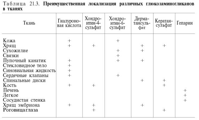 Преимущественная локализация различных глюкозаминогликанов в тканях