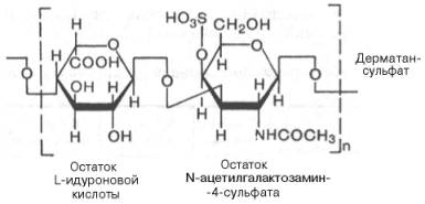 Дерматансульфат