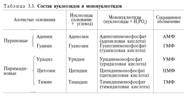 Состав нуклеозидов и мононуклеозидов