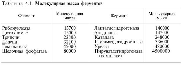 Молекулярная масса ферментов (рибонуклеаза, цитохром c, трипсин, пепсин, гекстокиназа, целочная фосфатаза, лактадегидрогеназа, альдолаза, каталаза, урелаза и т.д.)
