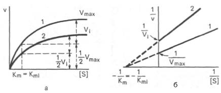 Графики зависимости скорости ферментативной реакции от концентрации субстрата в присутствии неконкурентного ингибитора