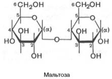 Мальтоза