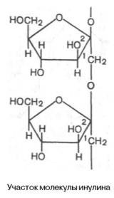 Участок молекулы инулина