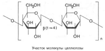Участок молекулы целлюлозы