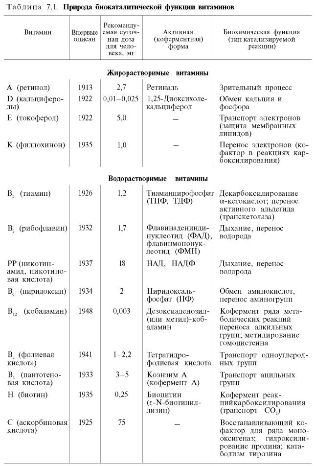 Природа биокаталитической функции витаминов A, D, E, K, B1, B2, PP, B6, B12, B9, B3, H, C