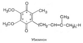 Убихинон