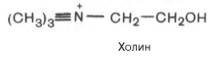 Холин