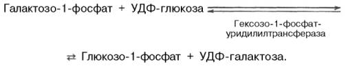 В присутствии УДФ-глюкозы фермент гексозо-1-фосфатуридилилтрансфераза катализирует превращение галактозо-1-фосфата в глюкозо-1-фосфат, одновременно образуется уридиндифосфат-галактоза (УДФ-галактоза)