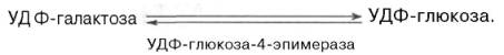 Глюкозо-1-фосфат переходит в глюкозо-6-фосфат и далее подвергается уже известным превращениям, либо под влиянием фосфатазы образует свободную глюкозу, а УДФ-га-лактоза подвергается весьма своеобразной эпимеризации: