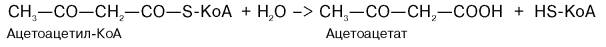 Превращение ацетоацетил-КоА в ацетоацетат
