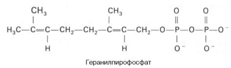 геранилпирофосфат