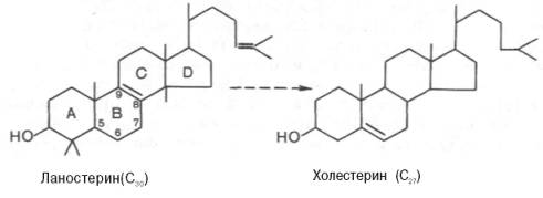 Ланостерин превращается в холестерин