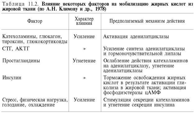 Влияние некоторых факторов на мобилизацию жирных кислот их жировой ткани