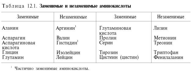 Заменимые и незаменимые аминокислоты