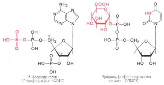 ФАФС и УДФГК