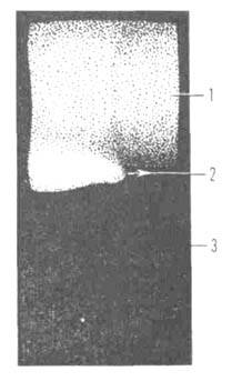 Спиновое горение тантала в азоте