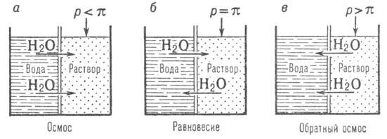 Условия возникновения обратного осмоса