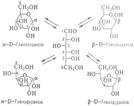 Таутомерное равновесие D-глюкозы